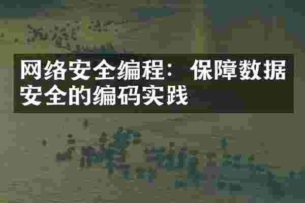 网络安全编程：保障数据安全的编码实践