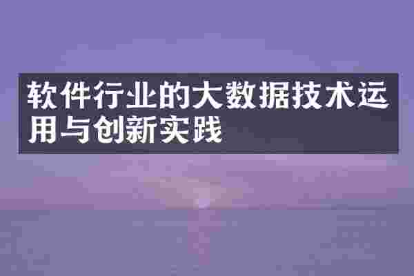 软件行业的大数据技术运用与创新实践