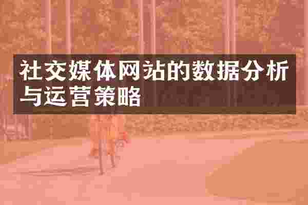 社交媒体网站的数据分析与运营策略