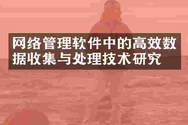 网络管理软件中的高效数据收集与处理技术研究