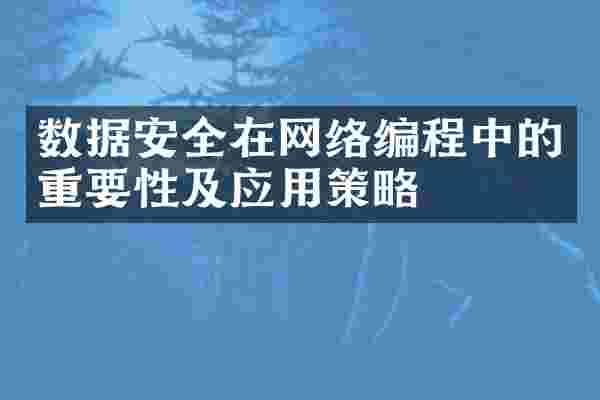 数据安全在网络编程中的重要性及应用策略