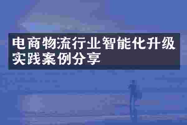 电商物流行业智能化升级实践案例分享
