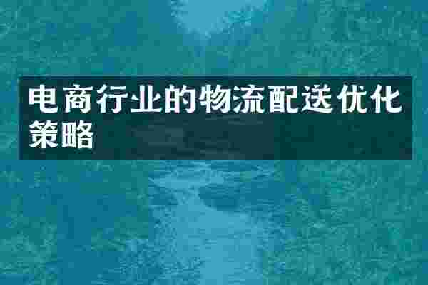 电商行业的物流配送优化策略