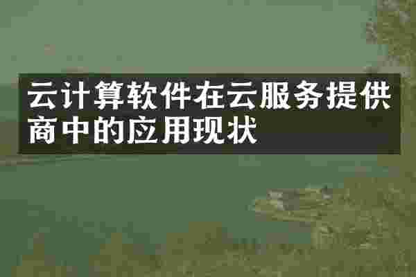 云计算软件在云服务提供商中的应用现状