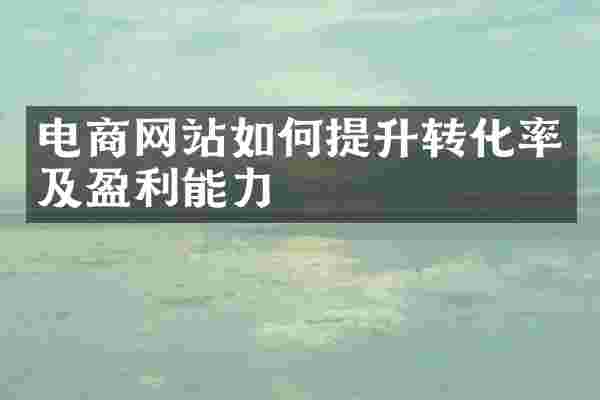 电商网站如何提升转化率及盈利能力