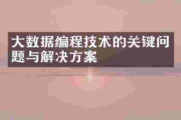 大数据编程技术的关键问题与解决方案