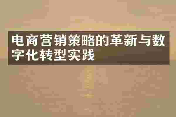 电商营销策略的革新与数字化转型实践