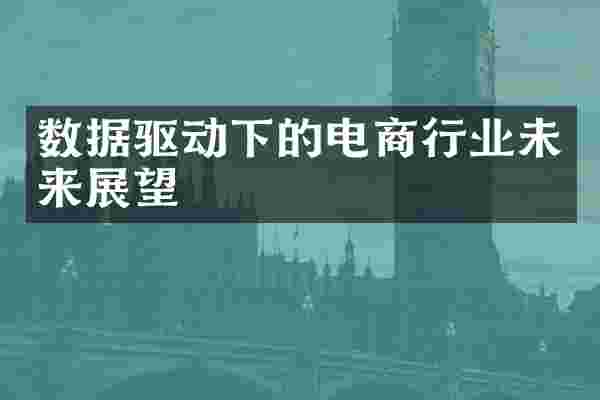数据驱动下的电商行业未来展望