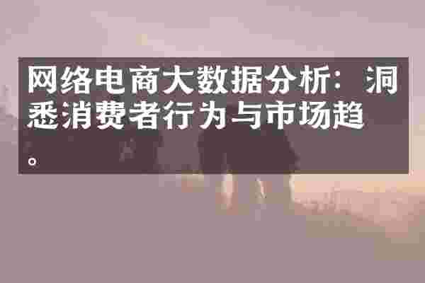 网络电商大数据分析：洞悉消费者行为与市场趋势。