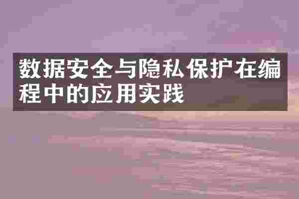 数据安全与隐私保护在编程中的应用实践