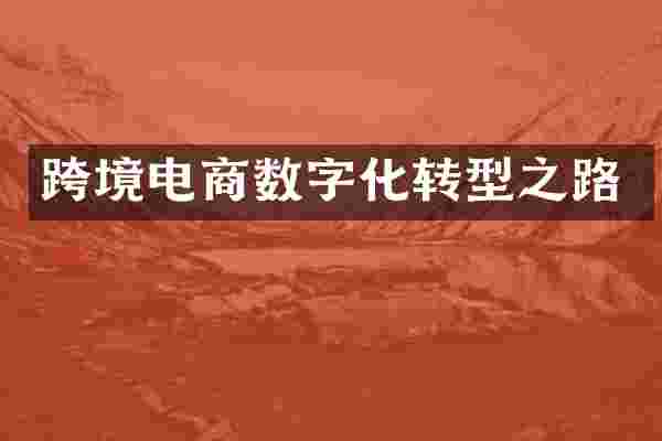 跨境电商数字化转型之路