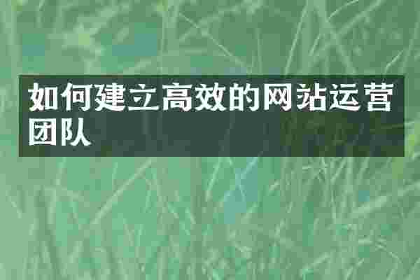 如何建立高效的网站运营团队