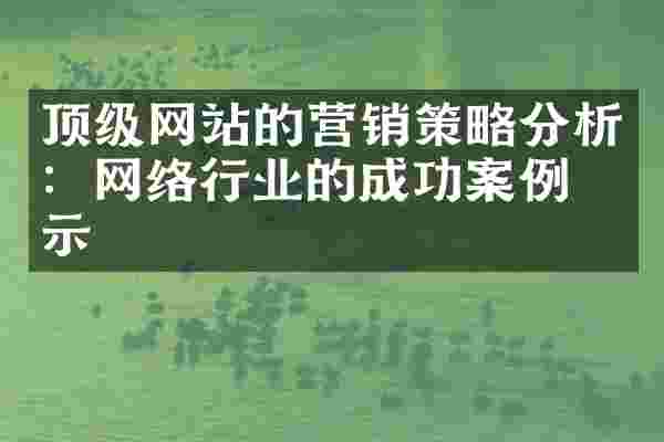 顶级网站的营销策略分析：网络行业的成功案例启示