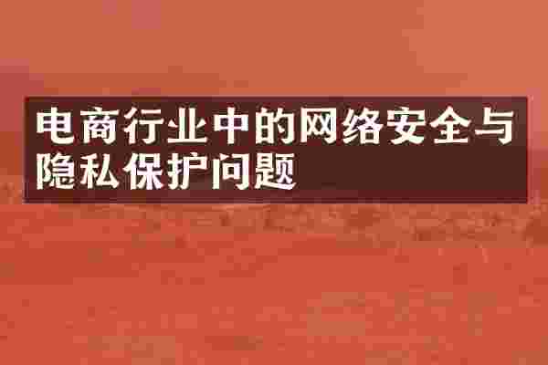 电商行业中的网络安全与隐私保护问题