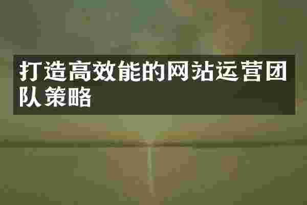 打造高效能的网站运营团队策略