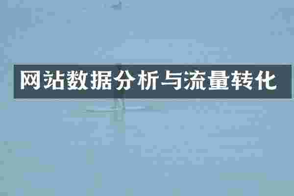 网站数据分析与流量转化