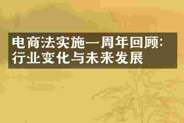 电商法实施一周年回顾：行业变化与未来发展