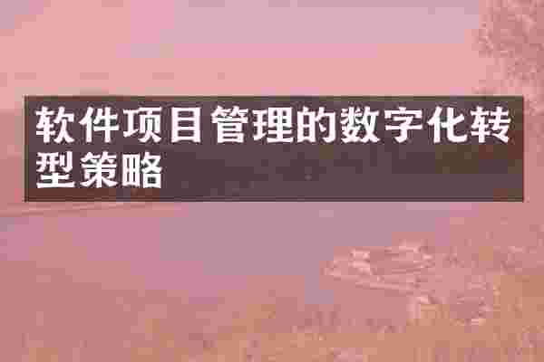 软件项目管理的数字化转型策略