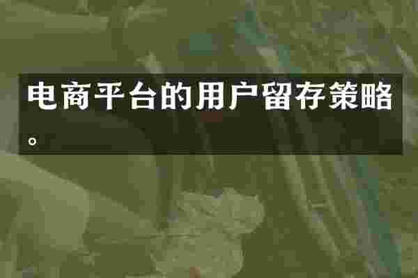 电商平台的用户留存策略。