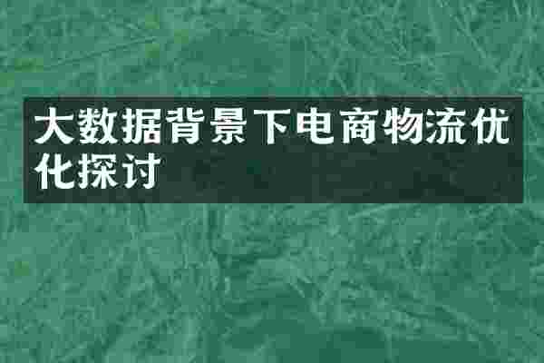 大数据背景下电商物流优化探讨