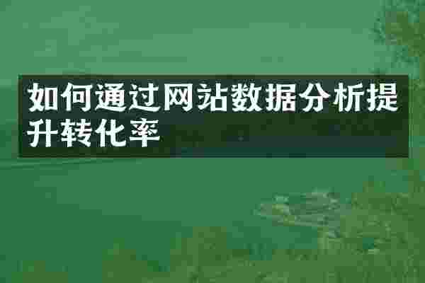 如何通过网站数据分析提升转化率