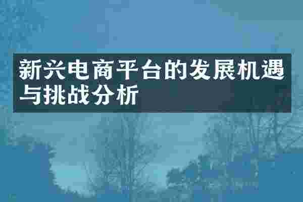 新兴电商平台的发展机遇与挑战分析