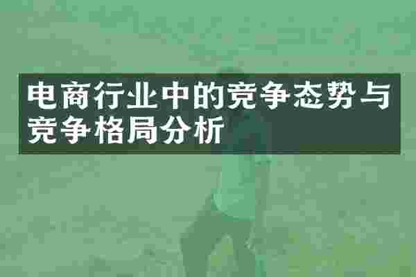 电商行业中的竞争态势与竞争格局分析