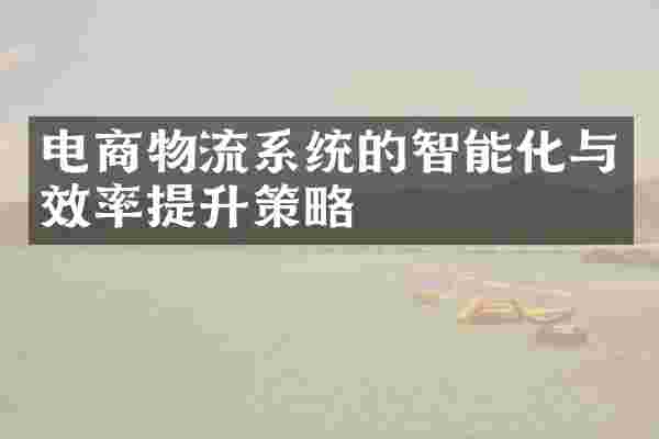 电商物流系统的智能化与效率提升策略