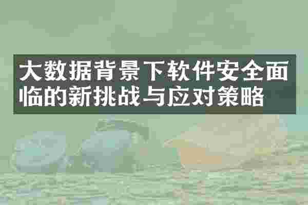 大数据背景下软件安全面临的新挑战与应对策略