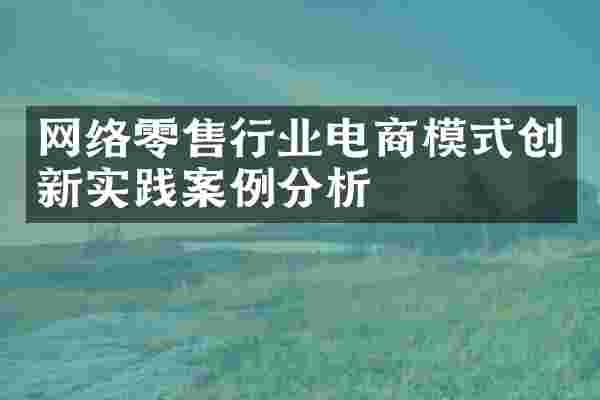 网络零售行业电商模式创新实践案例分析