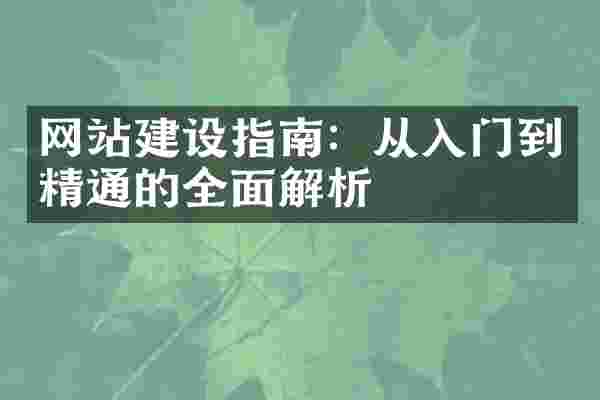 网站建设指南：从入门到精通的全面解析
