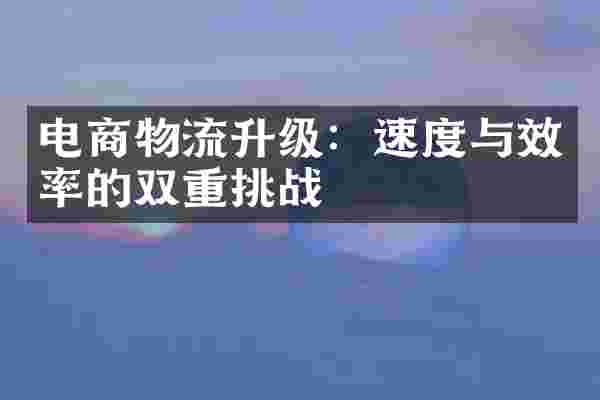 电商物流升级：速度与效率的双重挑战