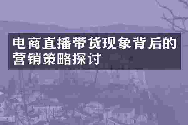 电商直播带货现象背后的营销策略探讨