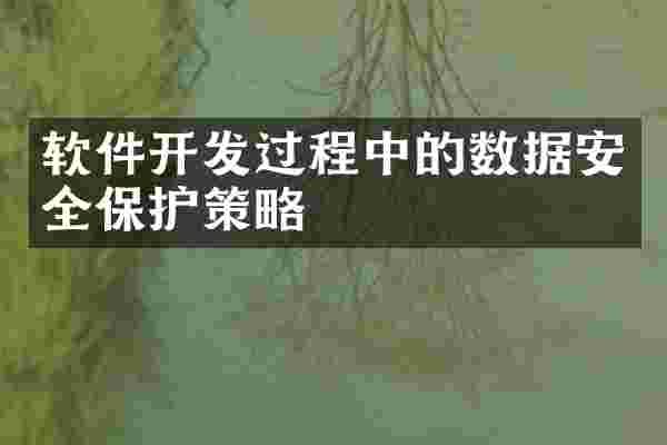 软件开发过程中的数据安全保护策略