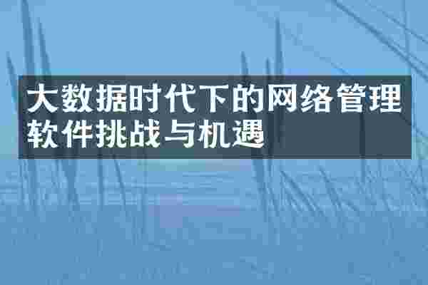 大数据时代下的网络管理软件挑战与机遇