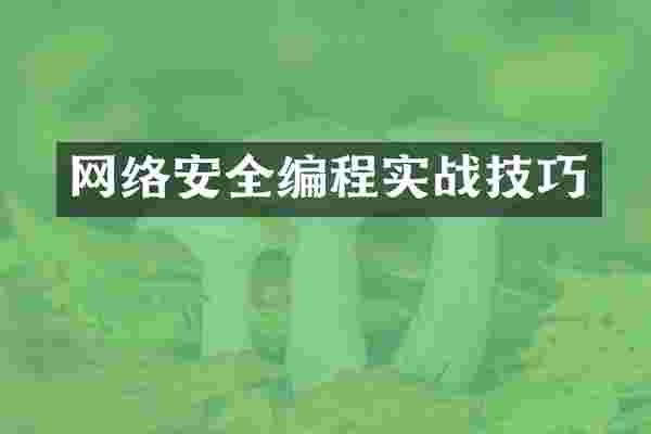 网络安全编程实战技巧