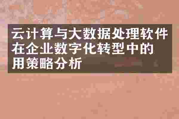 云计算与大数据处理软件在企业数字化转型中的应用策略分析