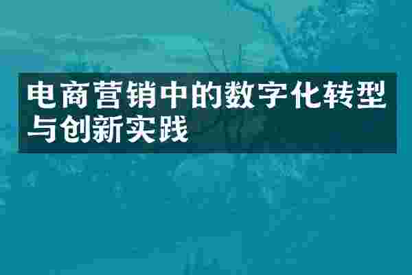 电商营销中的数字化转型与创新实践