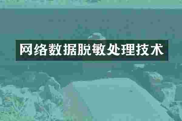网络数据脱敏处理技术