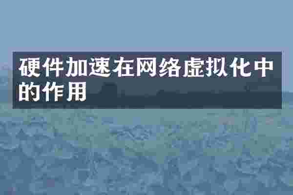 硬件加速在网络虚拟化中的作用