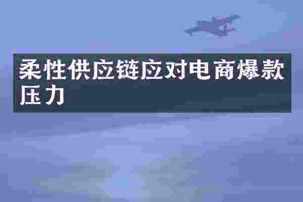 柔性供应链应对电商爆款压力