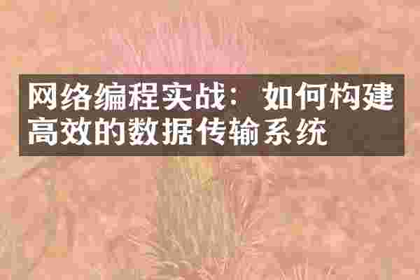 网络编程实战：如何构建高效的数据传输系统