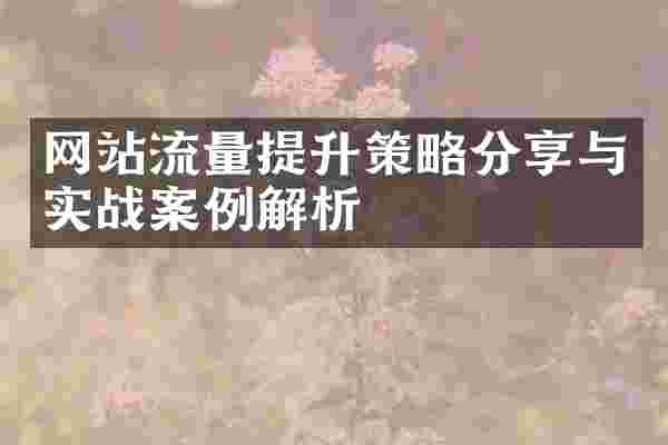 网站流量提升策略分享与实战案例解析