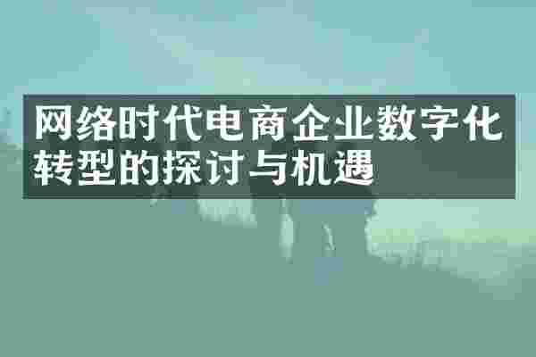 网络时代电商企业数字化转型的探讨与机遇