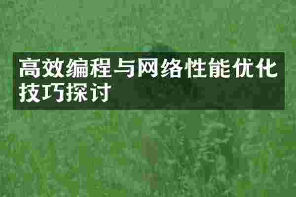 高效编程与网络性能优化技巧探讨