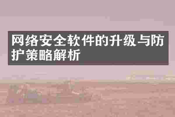 网络安全软件的升级与防护策略解析