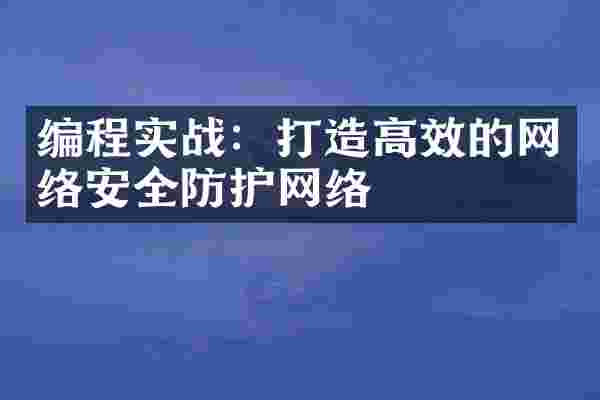 编程实战：打造高效的网络安全防护网络