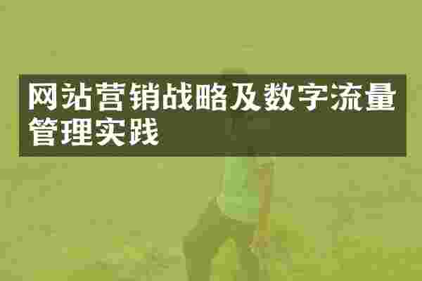网站营销战略及数字流量管理实践