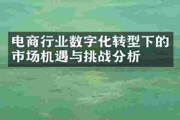 电商行业数字化转型下的市场机遇与挑战分析