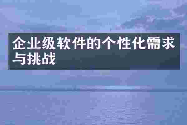 企业级软件的个性化需求与挑战